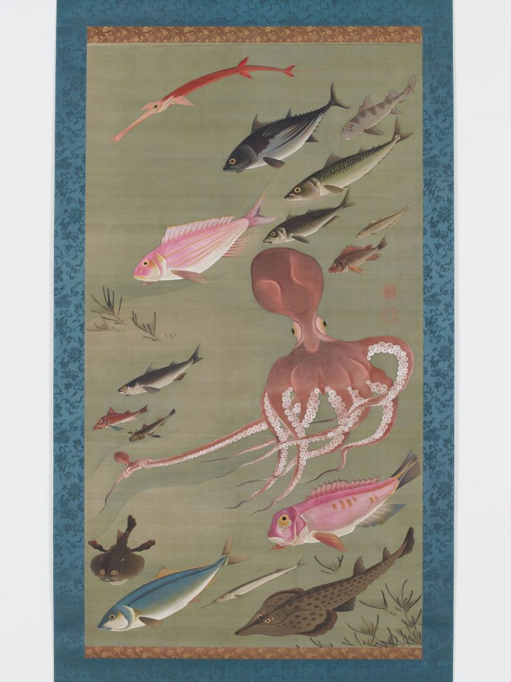 Fish and Octopus, Jakuchū