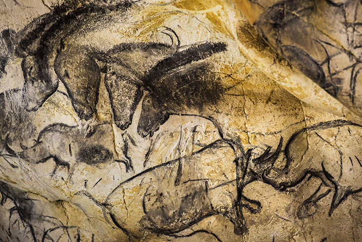 Paintings of animal figures on the rock walls of the Chauvet cave, France, in 2014.