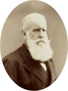 Emperor Pedro II of Brazil (c. 1887), Alphonse Liébert.