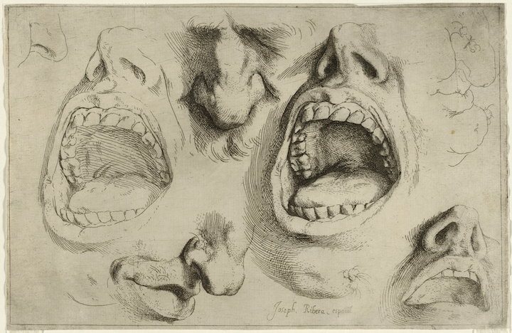 Studies of the Nose and Mouth (c. 1622), Jusepe di Ribera. ©The Trustees of the British Museum