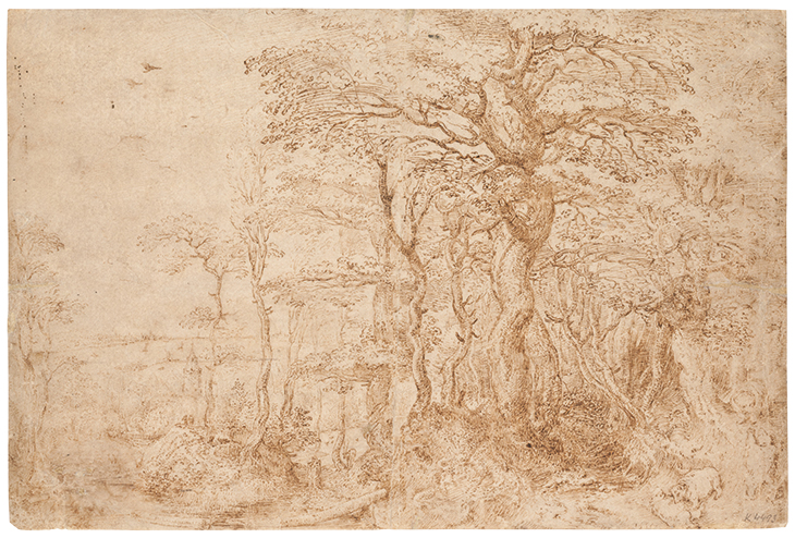 Sylvan Landscape with Five Bears, Pieter Bruegel 