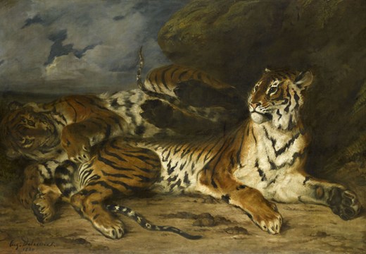 Young Tiger Playing with its Mother, (1830–31), Eugène Delacroix. Musée du Louvre.