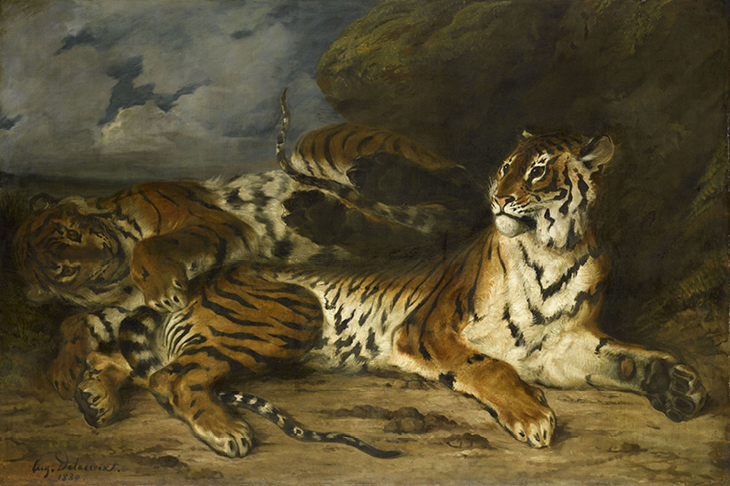 Young Tiger Playing with its Mother, (1830–31), Eugène Delacroix. Musée du Louvre.