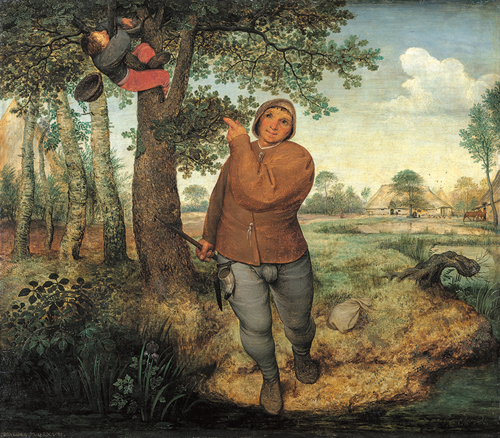 The Birdnester, Pieter Bruegel the Elder