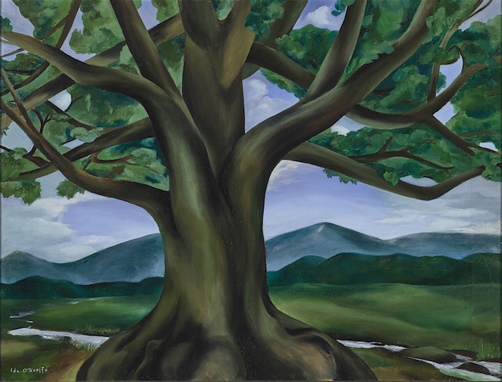 The Royal Oak of Tennessee, Ida O’Keeffe