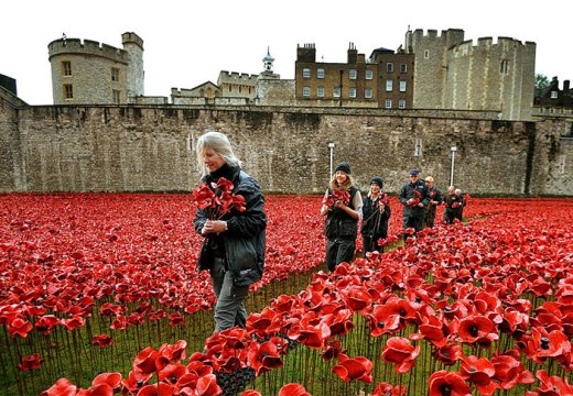 Volunteers dismantling the installation of Blood Swept Lands and Seas of Red at the Tower of London in 2014.