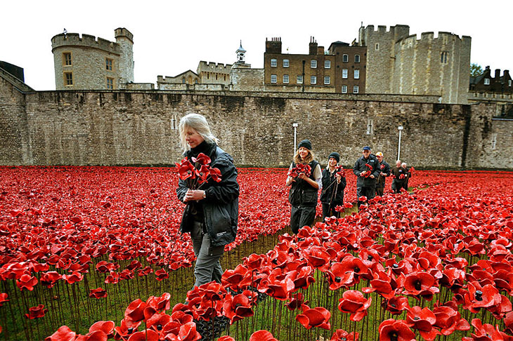 Volunteers dismantling the installation of Blood Swept Lands and Seas of Red at the Tower of London in 2014.