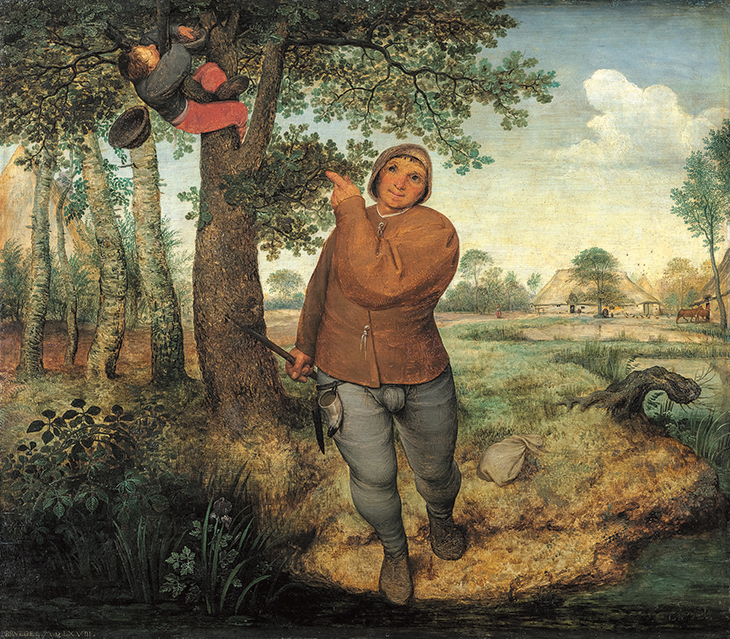 The Birdnester (1958), Pieter Bruegel the Elder. Photo: © KHM-Museumsverband