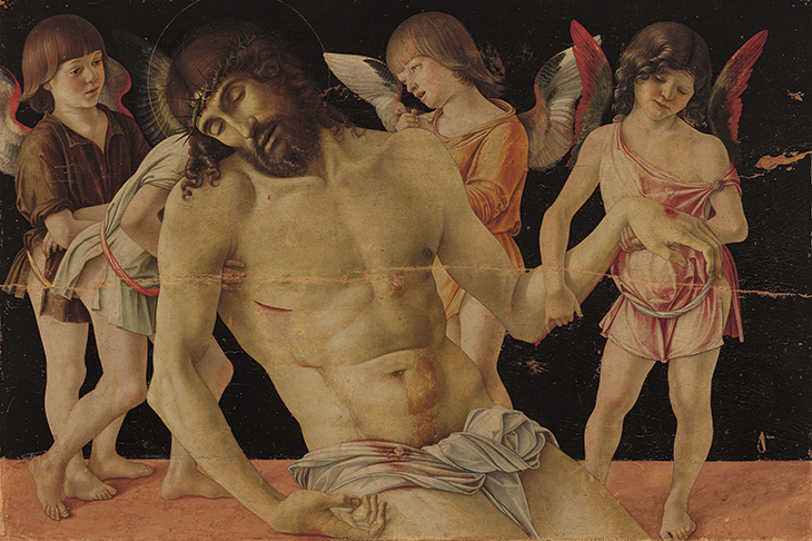 The Dead Christ Supported by Four Angels, Bellini