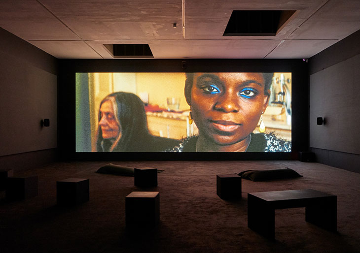 Installation view of Deux Soeurs Qui Ne Sont Pas Soeurs (Two Sisters who Are Not Sisters) in ‘Beatrice Gibson: Crone Music’ at Camden Arts Centre, 2019.