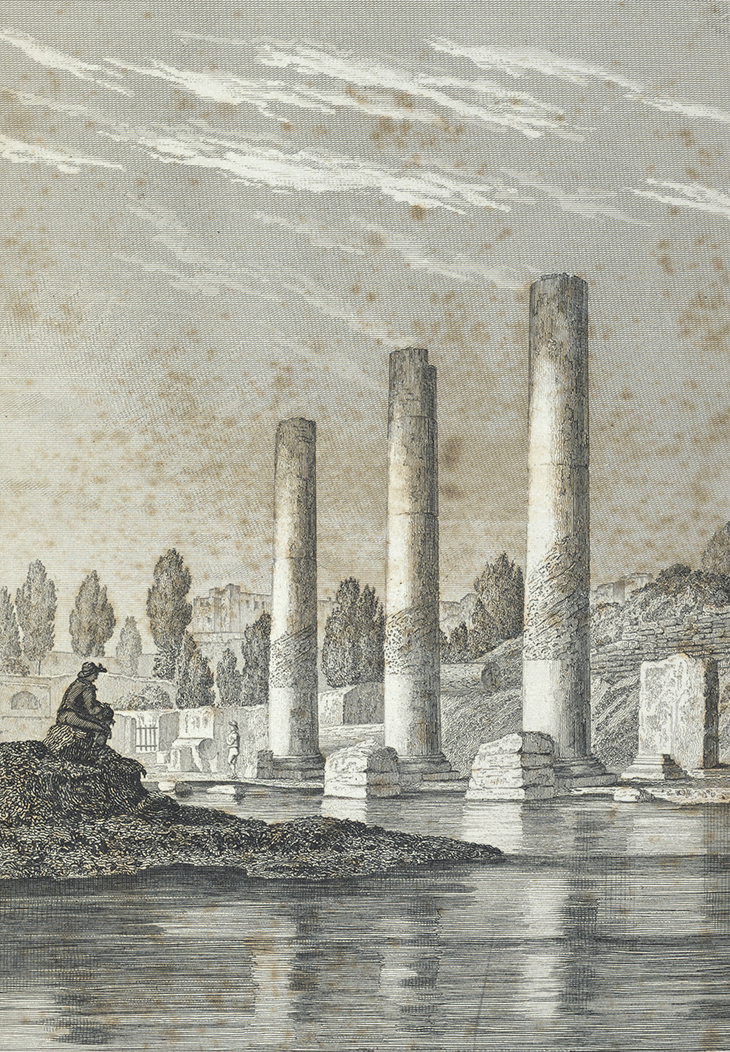 Frontispiece (detail) of Charles Lyell's 'Principles of Geology' (1830), featuring an engraving of the Temple of Serapis, Pozzuoli, from 1820 by Andrea de Jorio. Natural History Museum, London.
