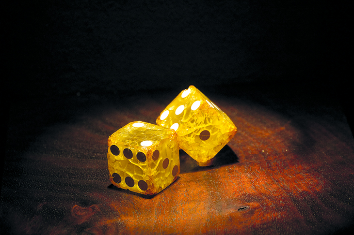 Detail of ‘Rotten Luck – An Exhibit of Failing Dice’ from the Collections of Ricky Jay, at the Museum of Jurassic Technology, Los Angeles