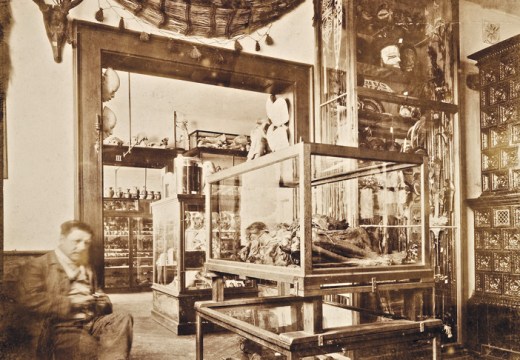 The artist Gabriel von Max photographed in his atelier in 1892. The city of Mannheim acquired his collection of mummies in 1917.