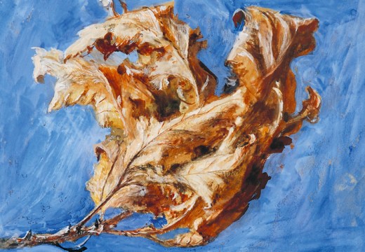 Study of Spray of Dead Oak Leaves (detail; 1879), John Ruskin.