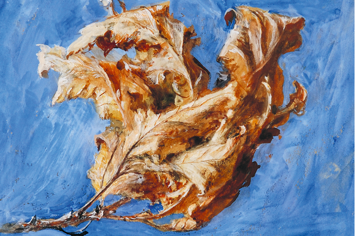 Study of Spray of Dead Oak Leaves (detail; 1879), John Ruskin.