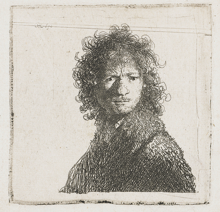 Self-Portrait, Frowning: Bust (1630), Rembrandt van Rijn. Rijksmuseum, Amsterdam