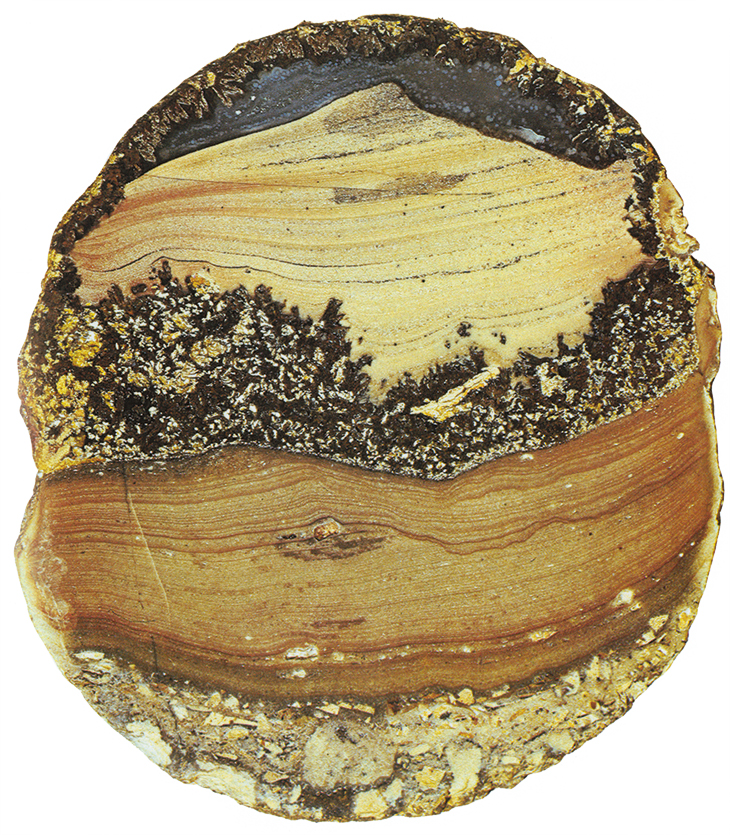 Landscape agate ('Peak') from Mexico, from the collection of Roger Caillois. First published in Caillois's book 'L'écriture des pierres'.