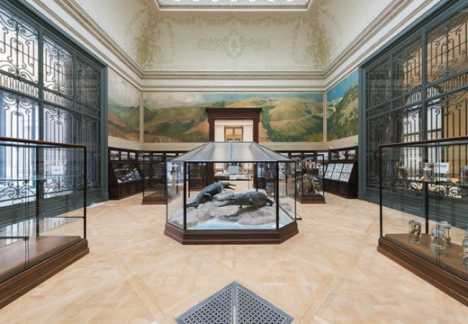 The Crocodile Room in the Africa Museum, Tervuren.