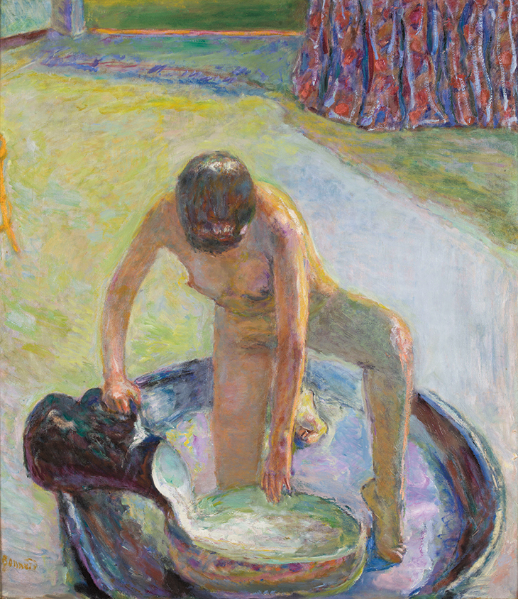 Nude Crouching in the Tub (1918), Pierre Bonnard.