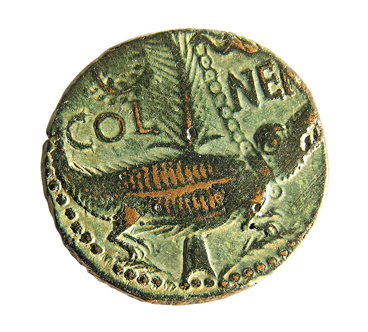 ‘As de Nîmes’ dupondius coin, verso showing a crocodile chained to a palm branch, issued under the reign of Augustus (27BC–14AD). Musée de la Romanité, Nîmes