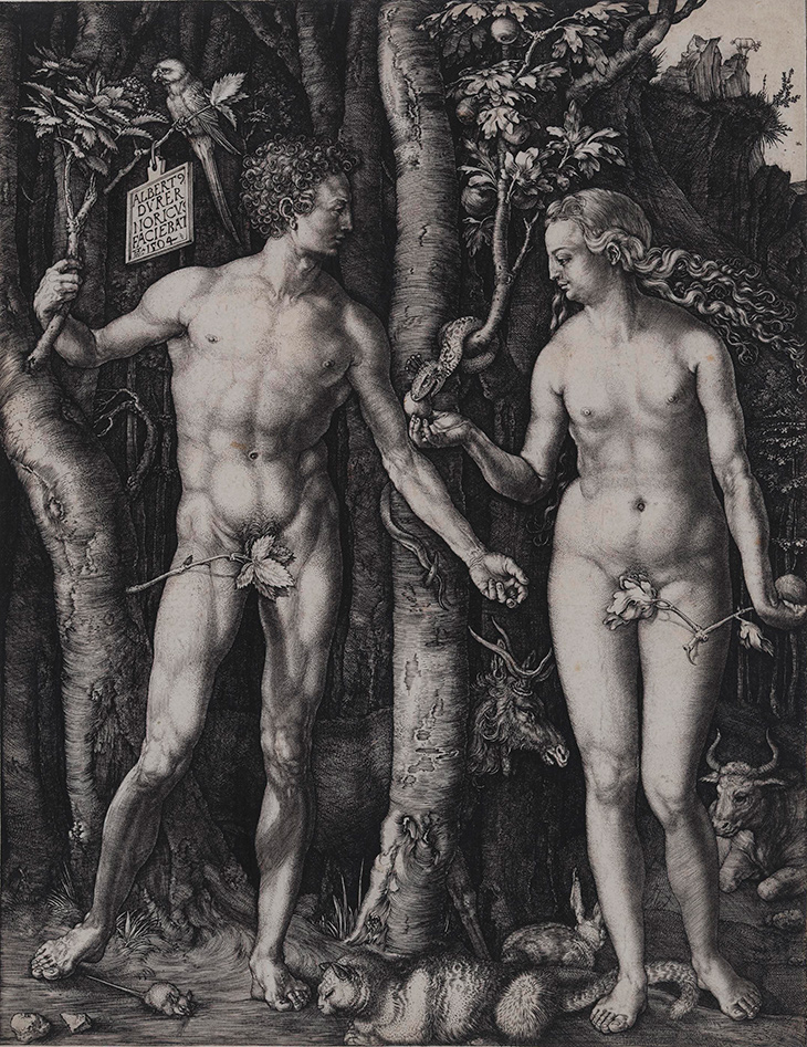 Adam and Eve (1504), Albrecht Dürer. Los Angeles County Museum of Art