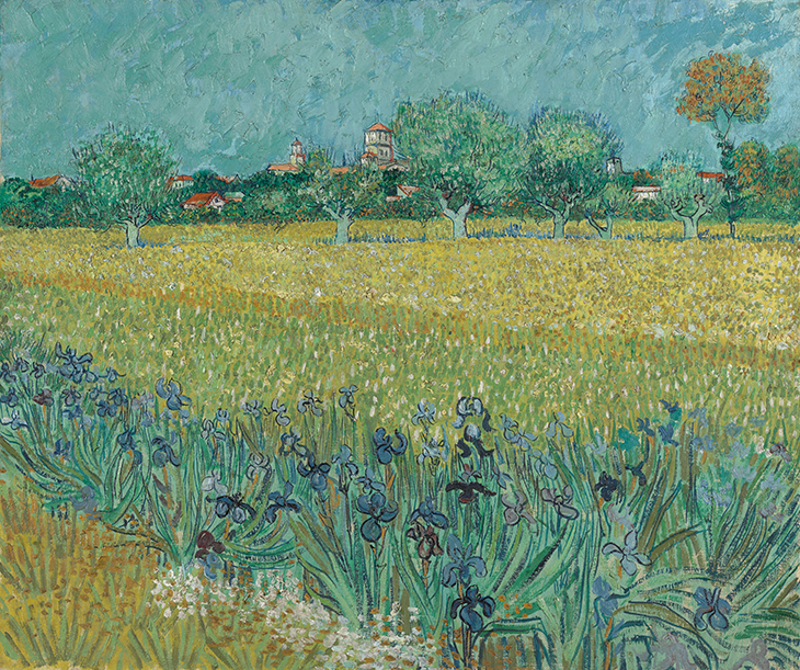 Field with Irises near Arles (1888), Vincent van Gogh. Van Gogh Museum, Amsterdam (Vincent van Gogh Foundation)