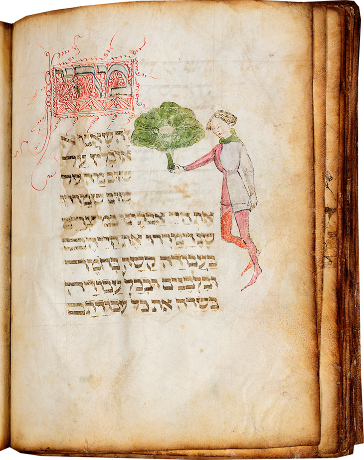Page showing a man holding a large bunch of maror (bitter herbs), illustrating the text ‘This maror’ in the Lombard Haggadah (c. 1390–1400), circle of Giovannino de Grassi (Master of the Paris Tacuinum?), Milan