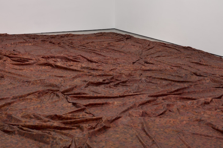 A Flor de Piel (2011–12), Doris Salcedo.