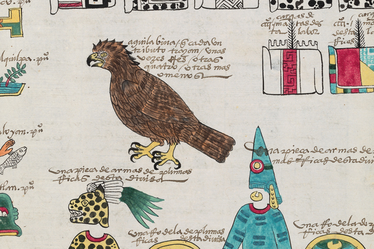 Detail from a page of the Codex Mexicana, c. 1541, created as a handbook for Charles V, Holy Roman Emperor and king of Spain, providing him with information about his new province. The writing is in the Mexica language, Nahuatl, and Spanish. Image courtesy Bodleian Libraries, University of Oxford