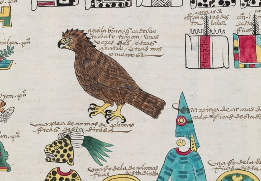Detail from a page of the Codex Mexicana, c. 1541, created as a handbook for Charles V, Holy Roman Emperor and king of Spain, providing him with information about his new province. The writing is in the Mexica language, Nahuatl, and Spanish. Image courtesy Bodleian Libraries, University of Oxford