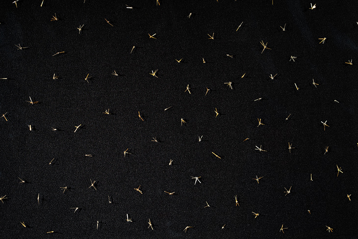 Wrist Watch Hands (2014), Shilpa Gupta. Prabhakar collection, Dubai
