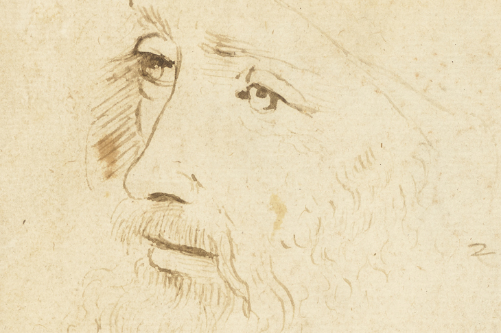 Detail of a sketch of Leonardo da Vinci (c. 1517–18), by an assistant of Leonardo, Royal Collection Trust/© Her Majesty Queen Elizabeth II 2019