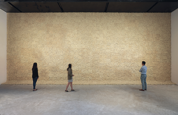 Moss wall (1994), Olafur Eliasson.