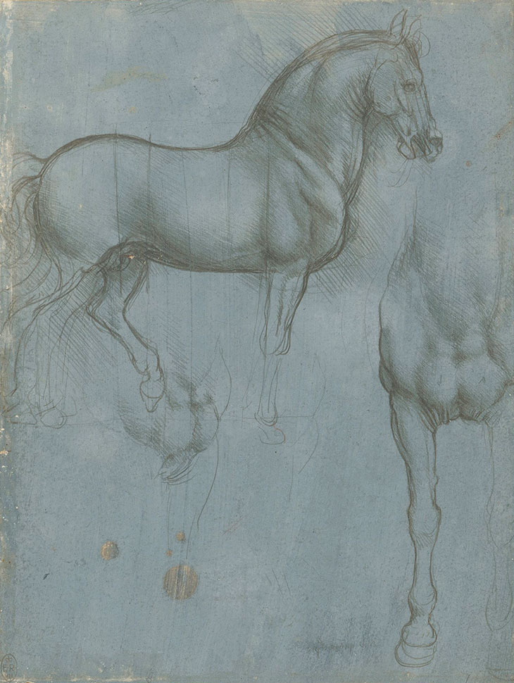 Studies of a horse (c. 1490), Leonardo da Vinci.