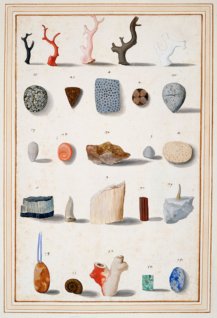 Lapidary and ‘figured’ stones, corals, fossils, semi-precious stones and minerals (c. 1630–40), Vincenzo Leonardi