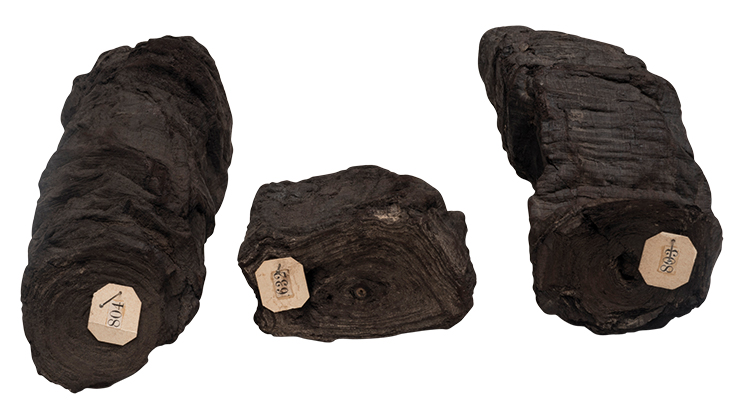 Three carbonised scrolls (2nd century BC–1st century AD), recovered from the Villa dei Papiri, Herculaneum, between 1752–54. Biblioteca Nazionale di Napoli.