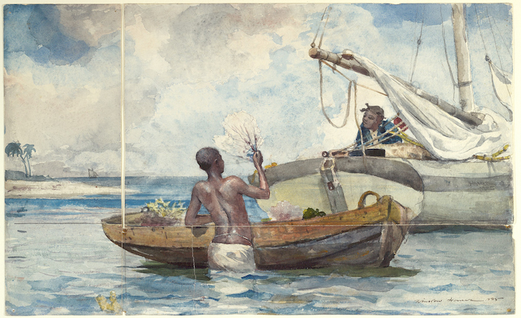 Sea Garden, Bahamas (1885), Winslow Homer.