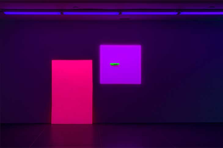 Installation view of ‘Jacqueline Humphries’ at the Dan Flavin Art Institute, Bridgehampton, New York. On the right hangs Painting (2019).
