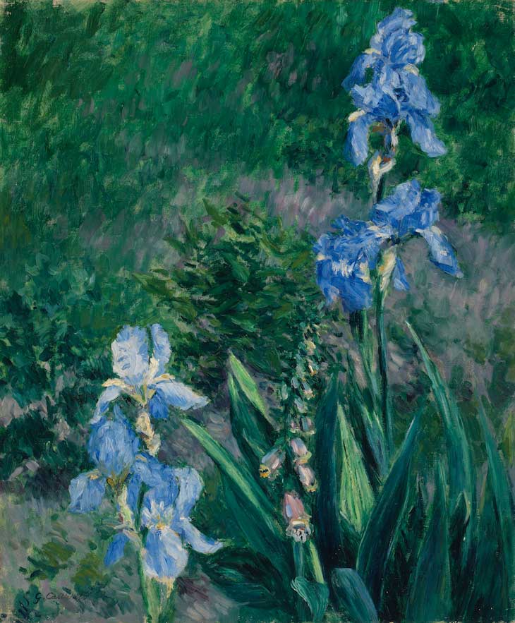 Iris bleus, jardin du Petit Gennevilliers (c. 1892), Gustave Caillebotte. Art Gallery of Ontario