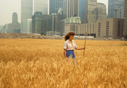 Agnes Denes walking through her installation Wheatfield – A Confrontation (1982) in the Battery Park landfill, New York.