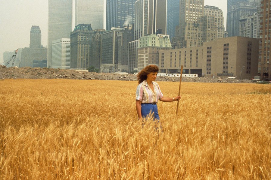 Agnes Denes walking through her installation Wheatfield – A Confrontation (1982) in the Battery Park landfill, New York.