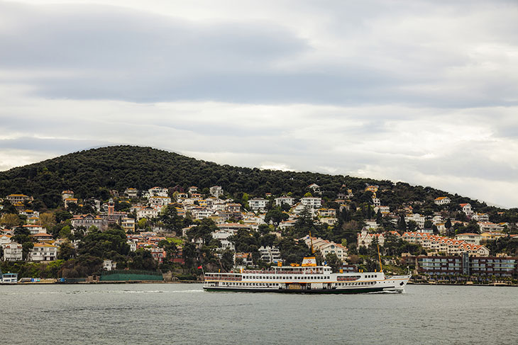 View of Büyükada.