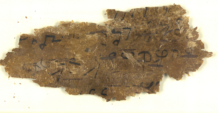 Buddhist text, written on birchbark (date) Gandhara.