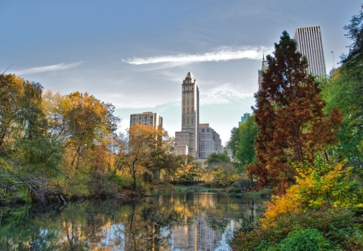 Central Park, New York