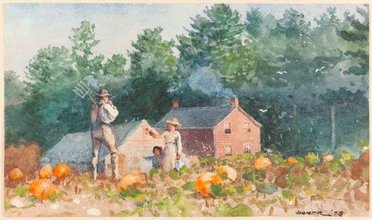 Pumpkin Patch (1878), Winslow Homer. Mead Art Museum, Amherst