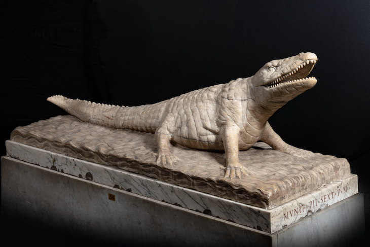 Marble crocodile.