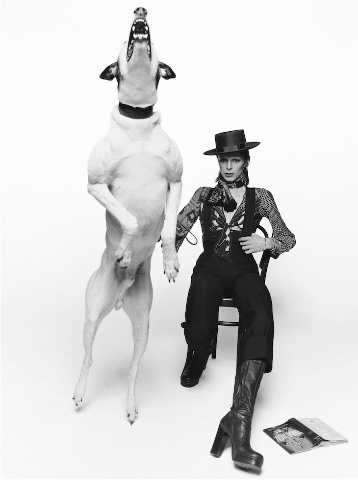 David Bowie poses with a large barking dog for publicity shots for his 1974 album ‘Diamond Dogs’ in London. Photo: Terry O'Neill/Iconic Images