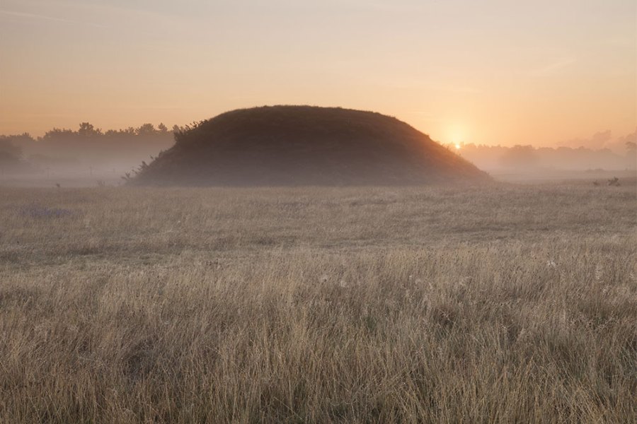 Mound Two at Sutton Hoo.