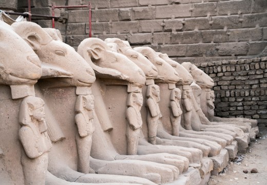 Sandstone ram-headed sphinxes (reign of Ramesses II; c. 1250 BC), from the first court in the Temple of Karnak in modern Luxor. Four of these sphinxes have now been taken to Cairo (photo: January 2020). Photo: © Ivar Sviestins