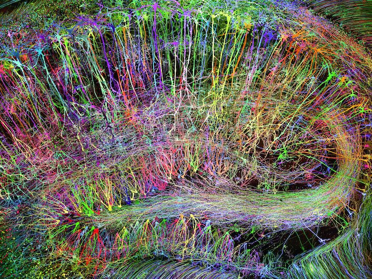 Brainbow Hippocampus in color (2014), Greg Dunn.